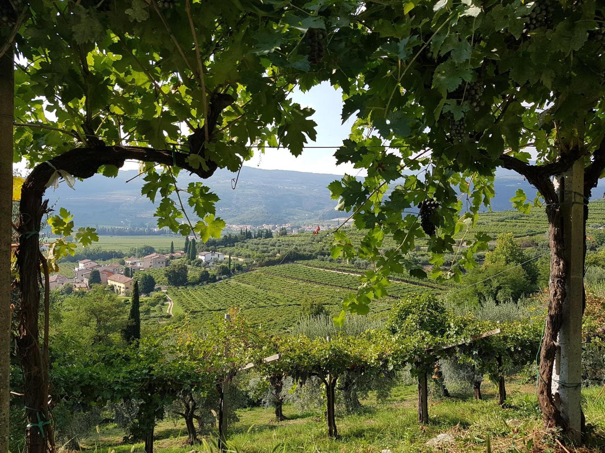 Agriturismo Valentina Cubi Fumane Luaran gambar