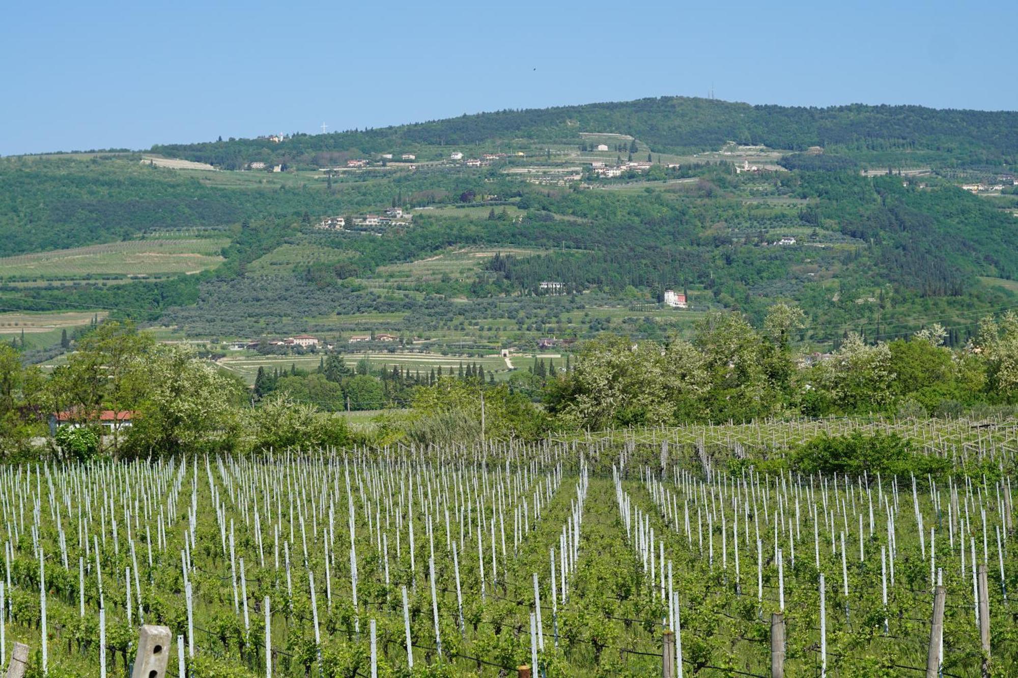 Agriturismo Valentina Cubi Fumane Luaran gambar